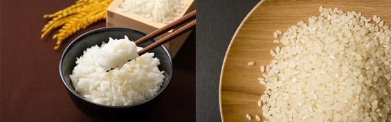 ホールセール事業