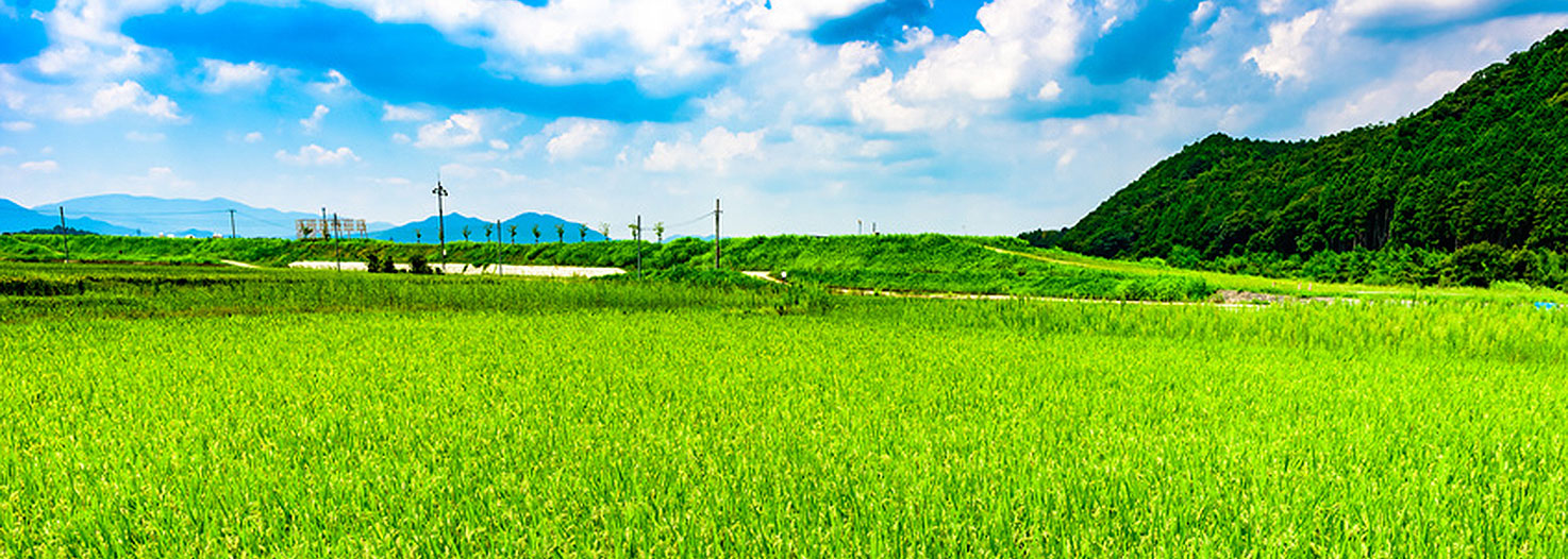 日本の品質が誇るグローバルベストブランドを伝える